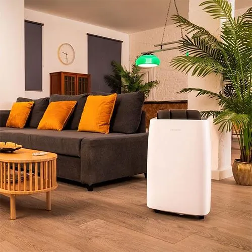 Com Controle de Umidade Desumidificador Cecotec BigDry 10000 Expert Connected | 30L/dia