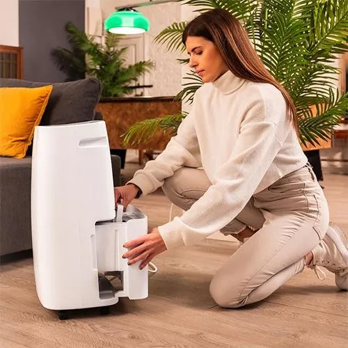Com Controle de Umidade Desumidificador Cecotec BigDry 10000 Expert Connected | 30L/dia