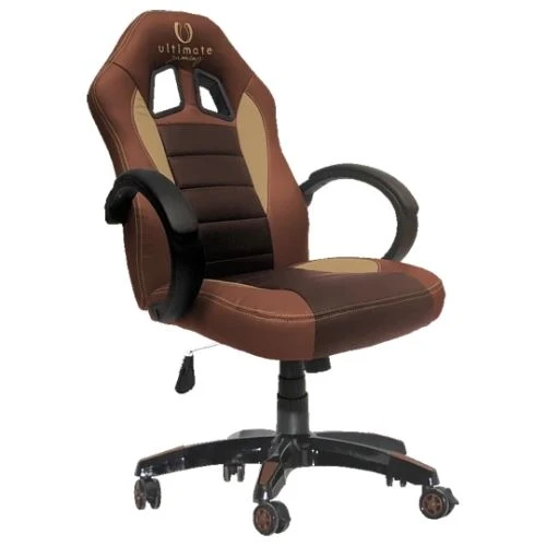 Mesa de Sinuca Cadeira Taurus Castanho