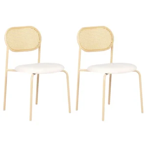 Conjunto de 2 cadeiras de jantar em metal castanho nítido ADAVER