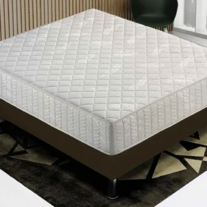 Colchão WaterFoam - 20 cm de altura - 7 zonas de conforto 70x200