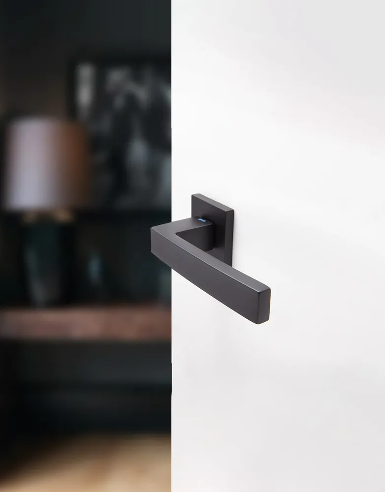 Ángolo door handle set on squared rose