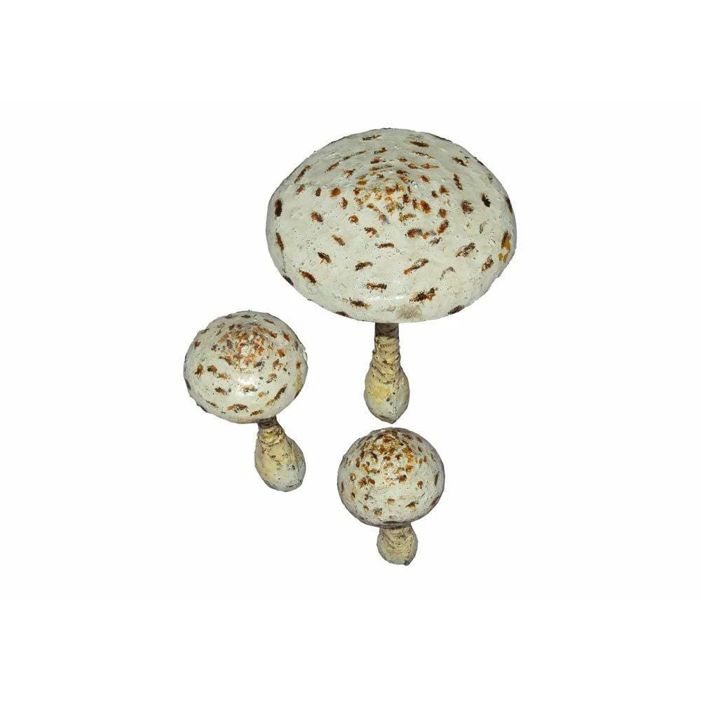 Conjunto de 3 Coulemelle - Vegetal decorativo em metal reciclado Arrosoir & Persil