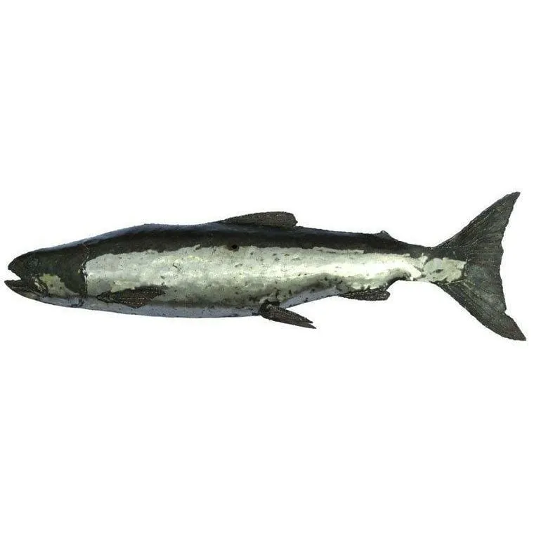 Salmão - Peixe decorativo em metal reciclado Arrosoir & Persil