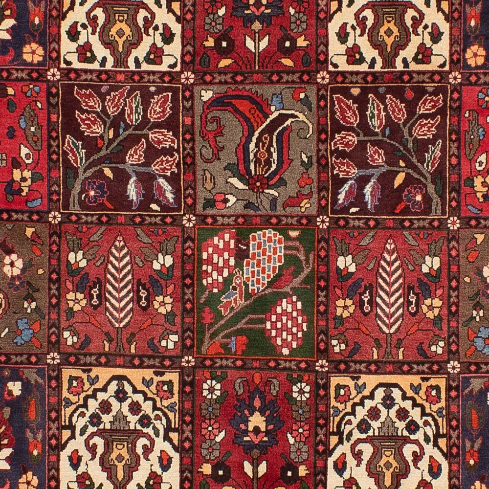 Bachtiar Teppich 310x210cm - Perserteppich
