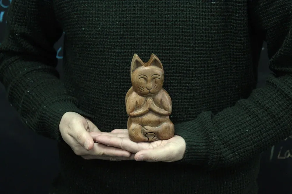 Caixa de Quebra-Cabeças de Madeira Sheesham, Gato Yoga