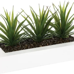 Centro de mesa, 3 Aloe Vera, altura 17 cm, branco, L. 31 x l. 16 x H. 17 cm