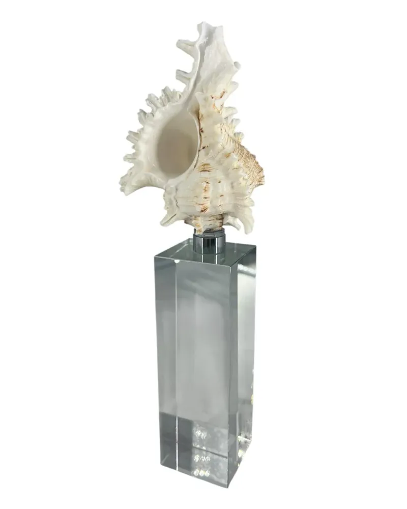 Escultura Concha III