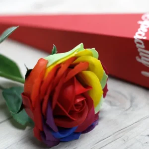 Flor de Sabão Arco-íris