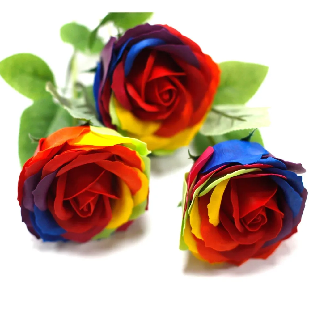 Flor de Sabão Arco-íris
