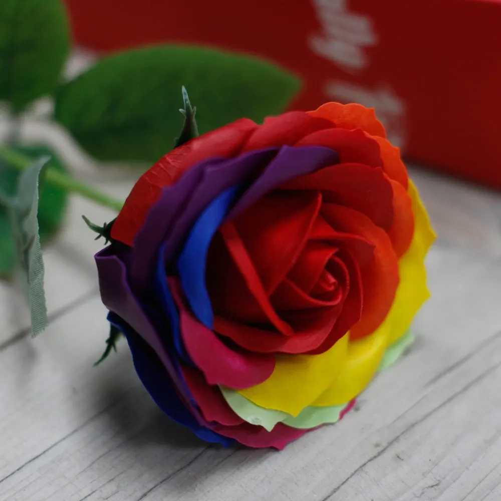 Flor de Sabão Arco-íris