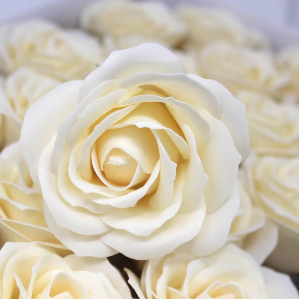 Flores de Sabão Rosa Grande Marfim Pacote de 10