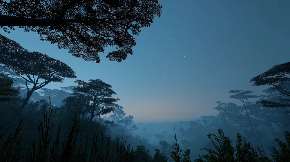 Papel de parede crianç | Floresta mágica noturna