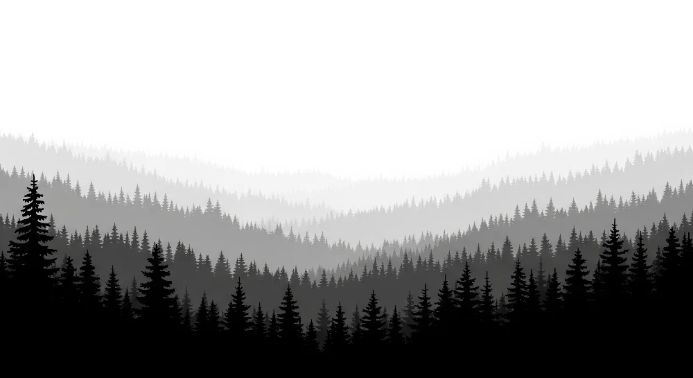 Papel de parede crianç | Floresta misteriosa em tons de preto e branco