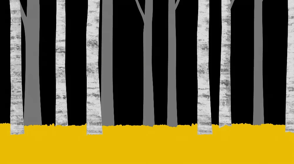 Papel de parede infantil | Floresta de bétulas com um chão amarelo vibrante