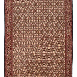 Perserteppich - Bidjar 254 x 171 cm - braun