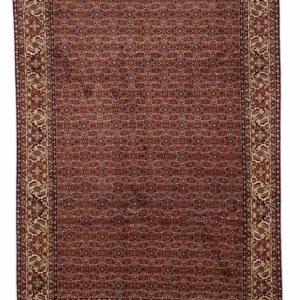 Perserteppich - Bidjar 298 x 202 cm - braun