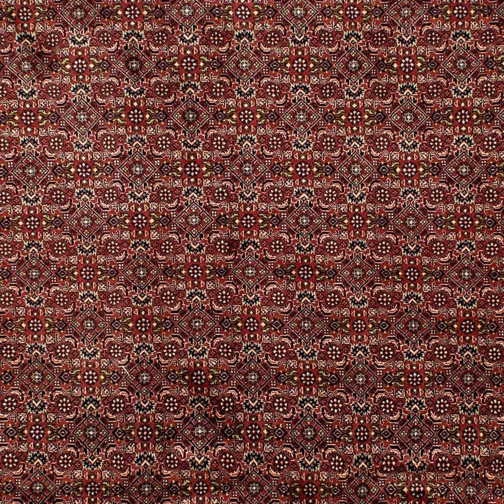 Perserteppich - Bidjar 298 x 202 cm - braun