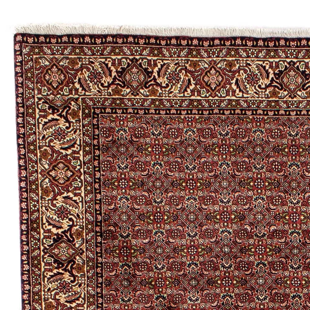 Perserteppich - Bidjar 298 x 202 cm - braun
