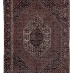 Perserteppich - Bidjar - 304 x 198 cm - dunkelbeige