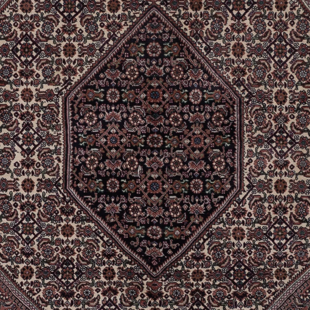 Perserteppich - Bidjar - 304 x 198 cm - dunkelbeige