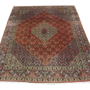 Perserteppich - Bidjar 335 x 245 cm - braun