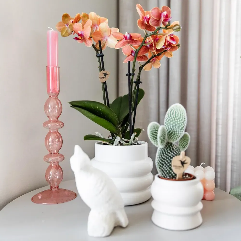 Pote decorativo de cerâmica bolha branca