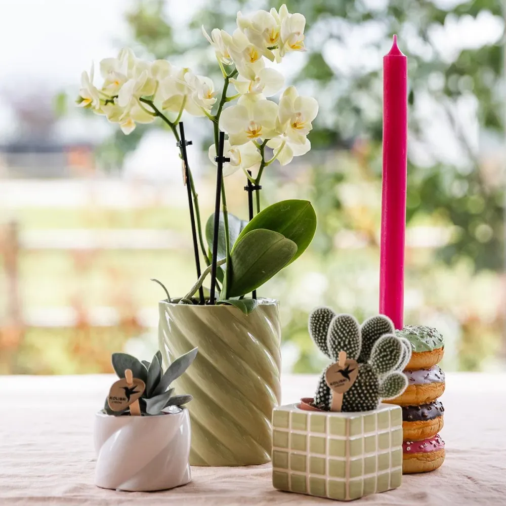 Pote Decorativo para Doces – Alto – Verde