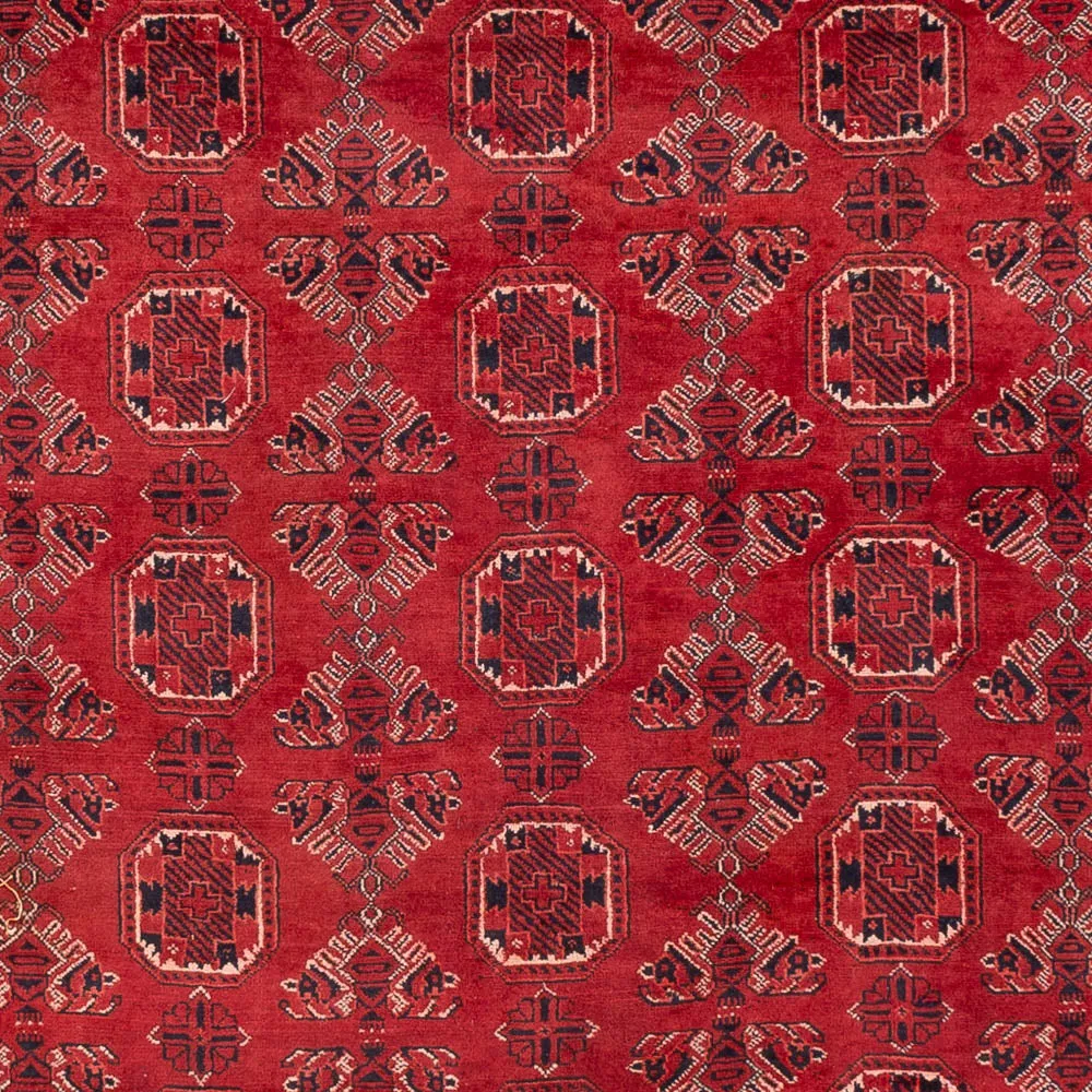 Tapete afegão - 275 x 203 cm - vermelho