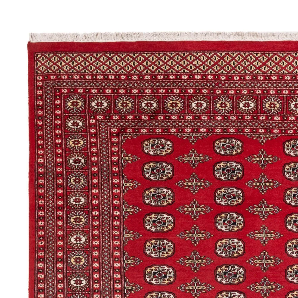 Tapete afegão - Bukhara - 312 x 244 cm - vermelho