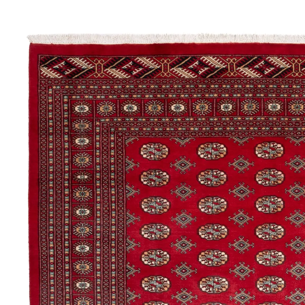 Tapete afegão - Bukhara - 354 x 275 cm - vermelho