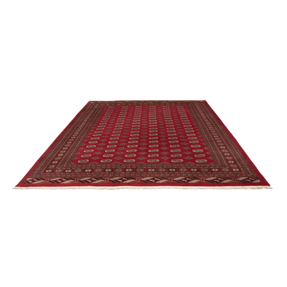 Tapete afegão - Bukhara - 354 x 275 cm - vermelho