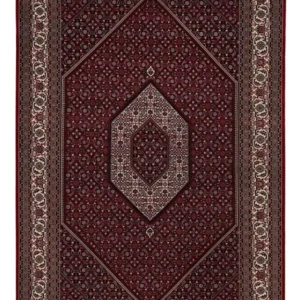 Tapete oriental - Bijar - Indus - 305 x 198 cm - camelo escuro