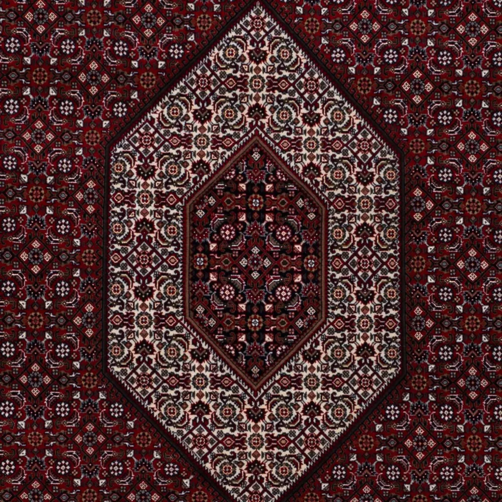 Tapete oriental - Bijar - Indus - 305 x 198 cm - camelo escuro