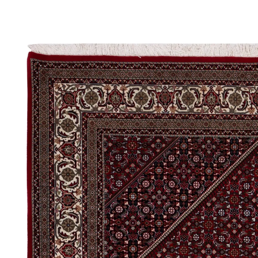 Tapete oriental - Bijar - Indus - 305 x 198 cm - camelo escuro