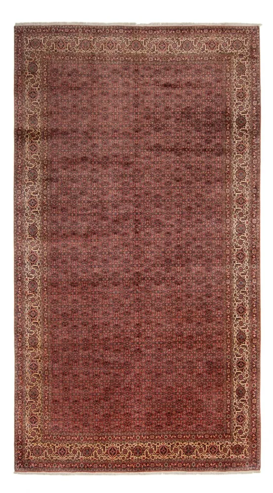 Tapete Persa - Bijar - Royal - 482 x 256 cm - castanho