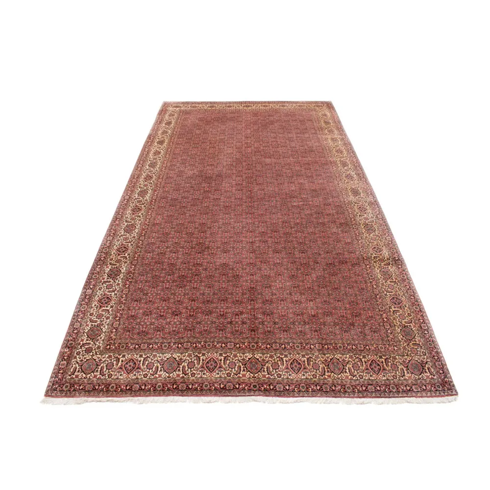 Tapete Persa - Bijar - Royal - 482 x 256 cm - castanho