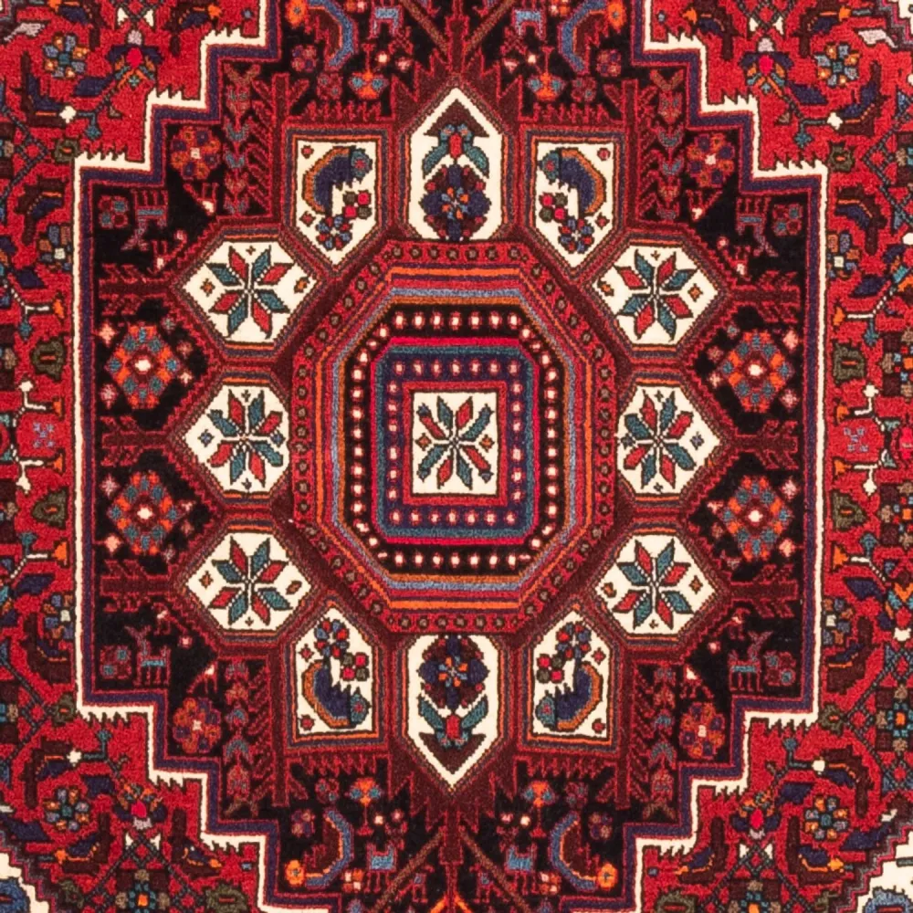 Tapete Persa - Nomadic - 155 x 100 cm - vermelho