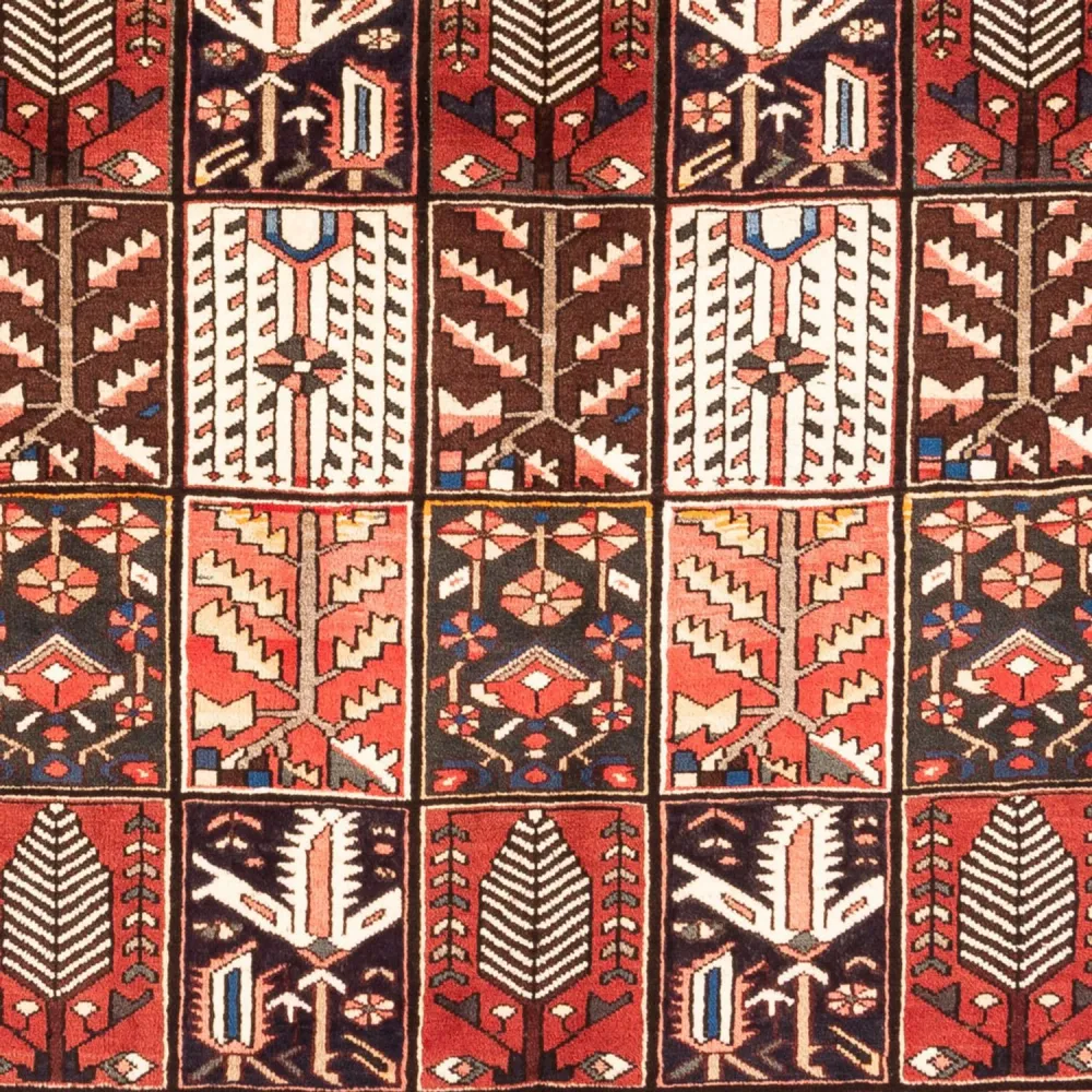 Tapete Persa - Nomadic - 290 x 200 cm - multicolorido