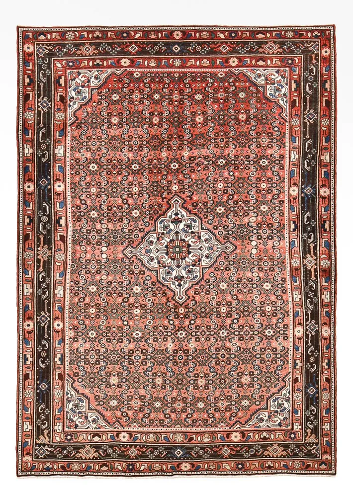 Tapete Persa - Nomadic - 305 x 212 cm - vermelho claro