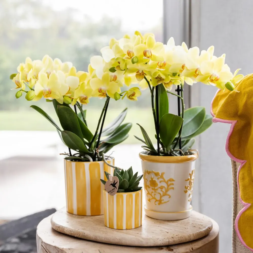Vaso decorativo listrado pintado - Amarelo