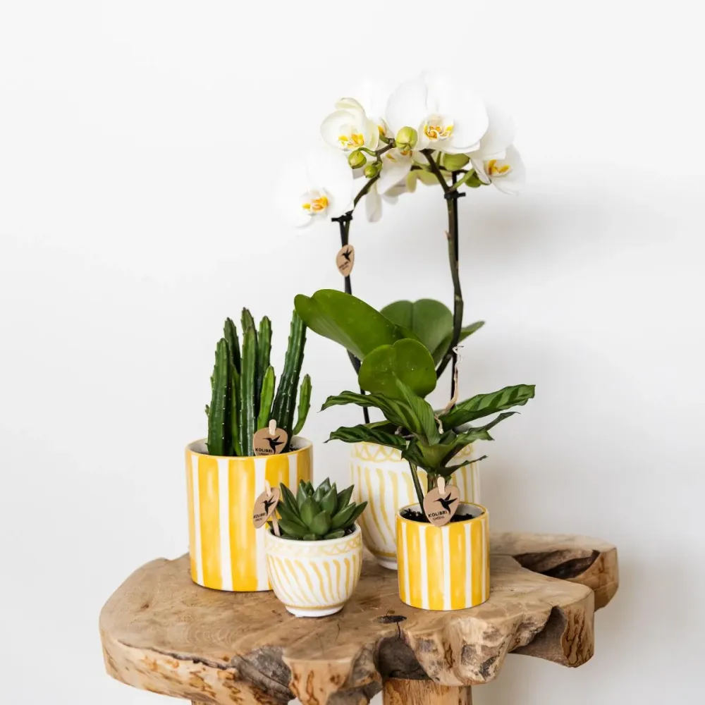 Vaso decorativo listrado pintado - Amarelo