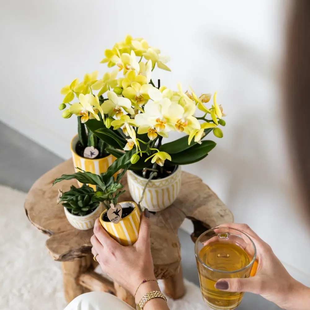 Vaso decorativo listrado pintado - Amarelo