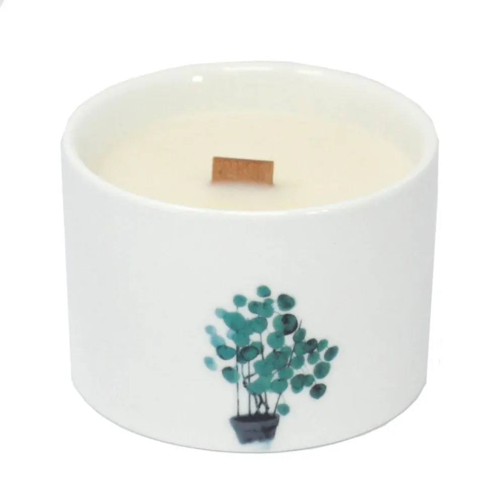 Vela Perfumada de Madressilva e Limão Cera de Soja Pavio de Madeira