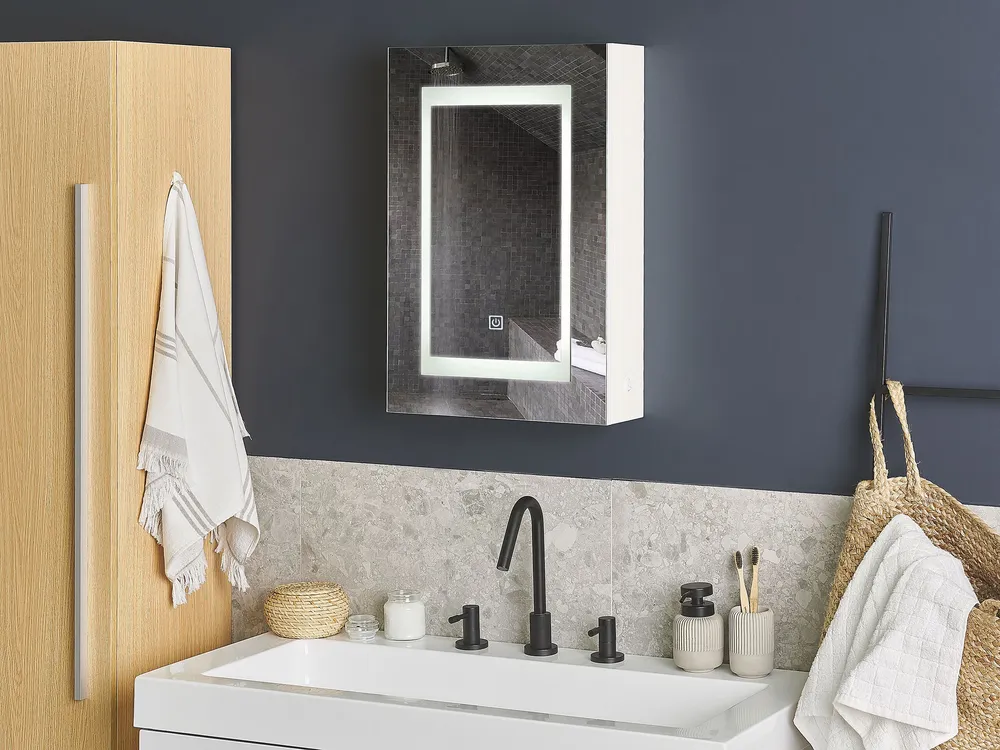 Bathroom Wall Mounted Mirror Cabinet LED Neve 40 x 60 cm MALASPINA