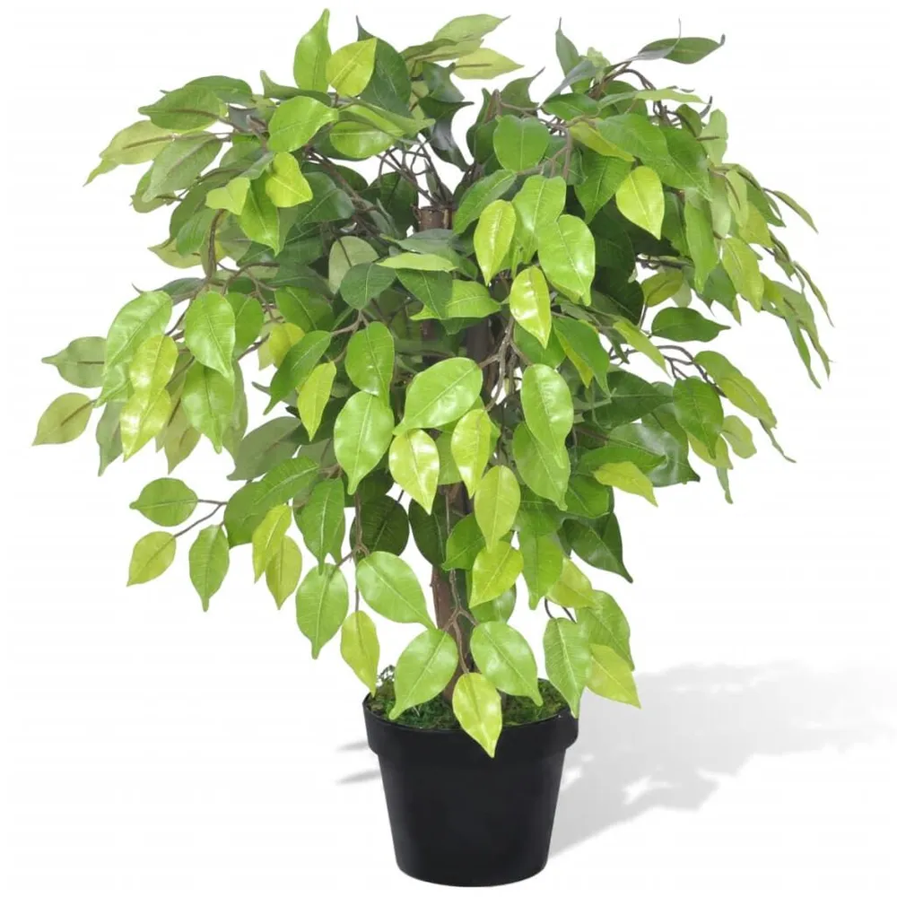 Fícus artificial duende com vaso 60 cm vidaXL