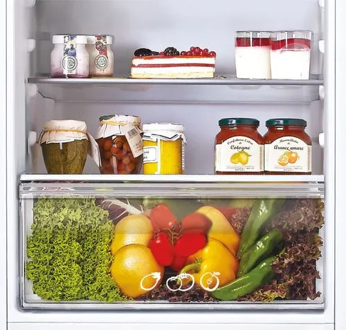 Frigorífico Combinado Encastrável Candy CKBBS 100/1 | 176,9x54x54,5 cm | 190 L | F | Branco | Entrega Rápida