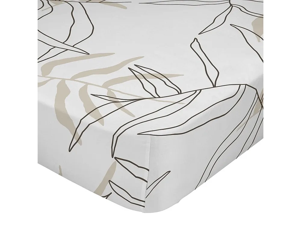 Lençol de Baixo Ajustável 160x200x32 cm (Cama 150/160) Maple Happyfriday