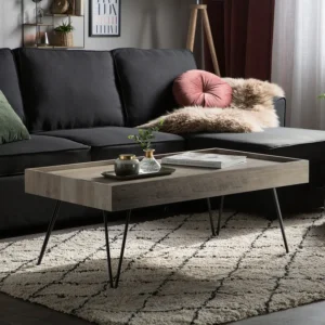 Mesa de centro taupe 100 x 60 cm WELTON