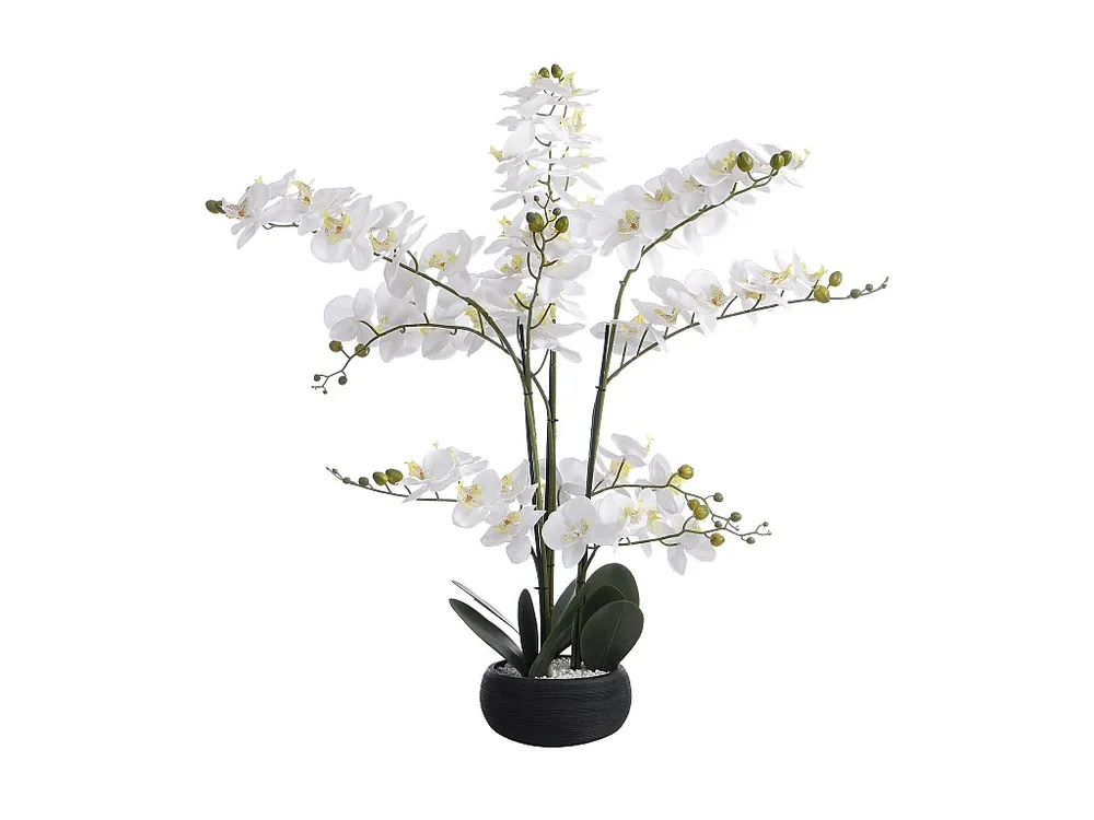 Planta, flor artificial orquídea .65 x L.54 cm branco - TARA OZAIA